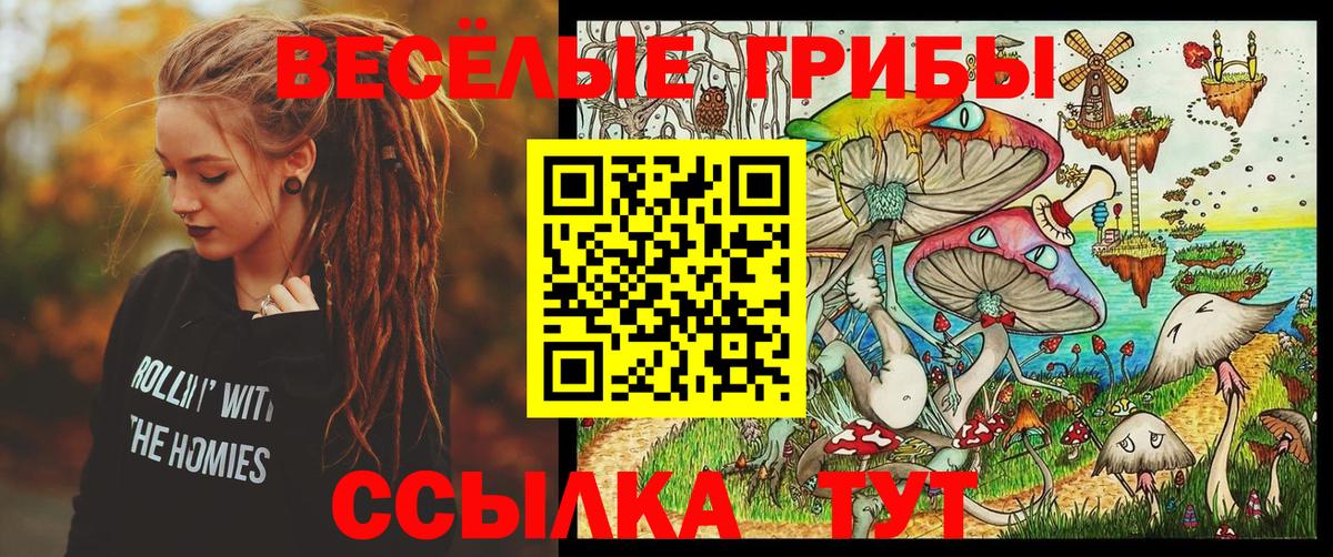 Тобольск  Псилоцибиновые грибы Cubensis  Вход с VPN 