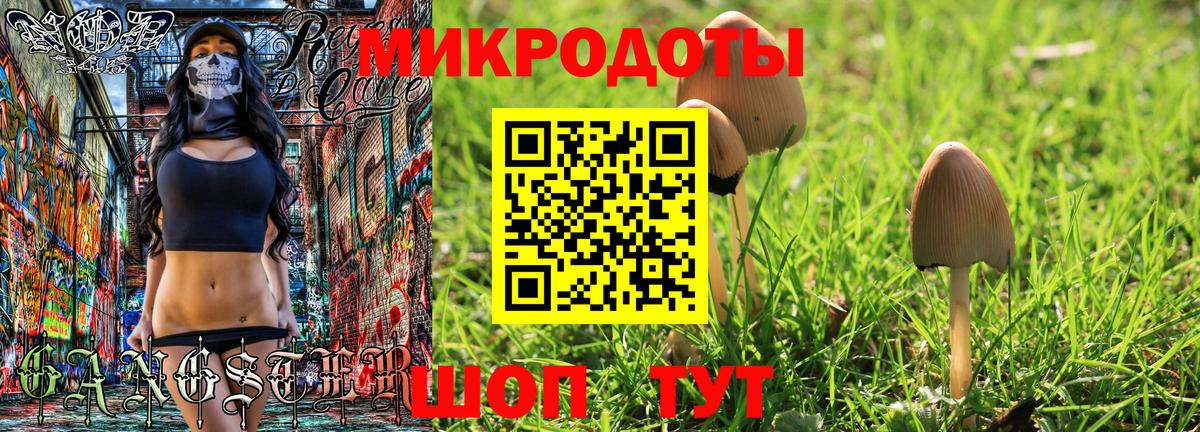 Галлюциногенные грибы прущие грибы Тобольск